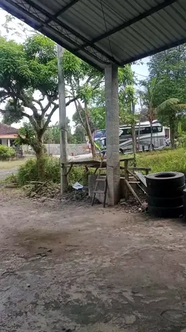 panggah enak ya sam masio gur karo jangan lombok😄 @Mr.lenthoo 
