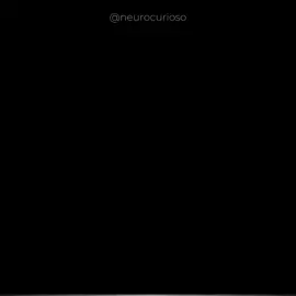 Pessoas que lidam com perda de memória... #reflexão #neurociencia #information #pensamentos 