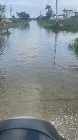 Quê em mùa nước lũ. Băng qua dòng nước để đi làm🙂