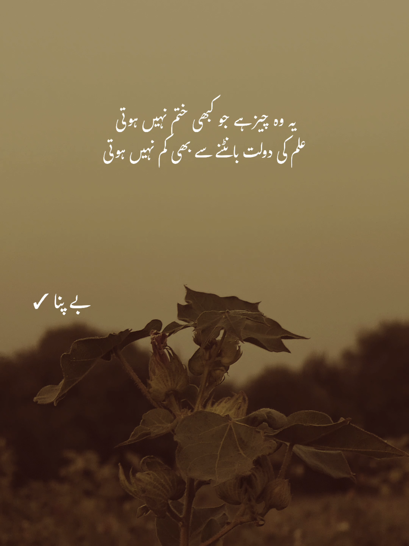 Deep words ❤️‍🩹 #1millionaudition #asthetic #poetrystatus #foryou #fypp 