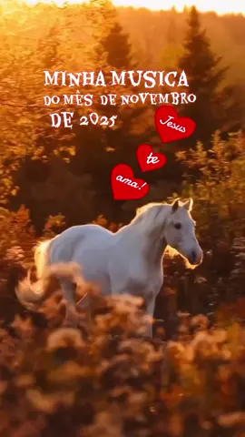 #marimotivacào  #minhamusicadomês  #denovembrodoismilevinteecincodoismilevinteecinco #vocepassouporvoisa #vaisertãolindo 