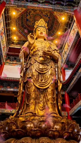 Nam Mô A Di Đà Phật Nam Mô Bổn Sư Thích Ca Mâu Ni Phật Nam Mô Quán Thế Âm Bồ Tát Nam Mô Dược Sư Lưu Ly Quang vương Phật  Nam Mô Đại Nguyện Địa Tạng Vương Bồ Tát🙏🙏🙏