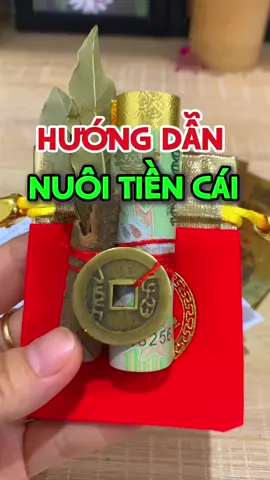 Hướng dẫn làm mẹo phong thuỷ nuôi tiền cái #thaophongthuy #vatphamphongthuy #bongulocnuoitiencai #nuoitiencai #cachnuoitiencai 