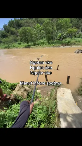 Info spot tawesan  #boncosmania🎣 #fyp #pacitan24jam #mancingliar #mancingsungai 