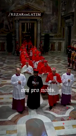 Hoje, Dia de Todos os Santos, vamos nos unir à Igreja e cantar a Ladainha de Todos os Santos, Litaniae Sanctorum, em Latim 🙏 Este vídeo é do início do Conclave que elegeu o Papa Leão XIV. 🌿 Que nossas vozes se unam, louvando e pedindo a Deus: Omnes Sancti et Sanctae Dei, orate pro nobis! ✨ #TodosOsSantos #RezarEmLatim #DiaDeTodosOsSantos #Ladainha #LadainhaDeTodosOsSantos  