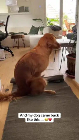 My Dog 😭💔💔 #pregnancy #boyfriend #police #vet  #dog