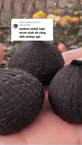Membalas kepada @dilasuhaily #blackgarlic #garlic #bawangtunggal #bawanghitam #bawanghitamtunggal 