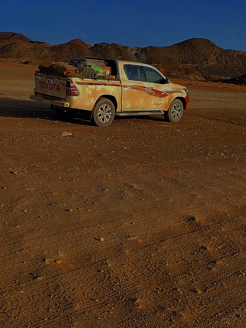 #هواوير_ياا_رسول_الله💛 #الهواري_حفيد_من_صنعو_التاريخ👑🦅 