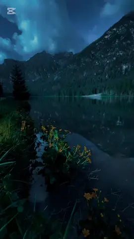 قرآن الكريم راحه نفسيه 🤍#اللهم_صل_على_محمد_وآل_محمد # 