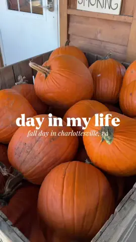 the best fall day in charlottesville #dayinmylife #fallactivities #charlottesville #winery #applepicking 