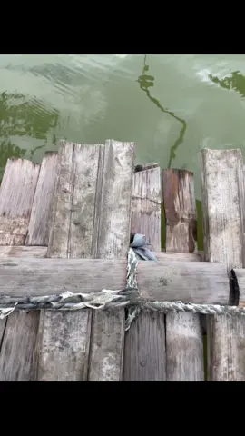 #foryoupagе #4u #spotmancing #xbcyzafyp #xbcyzafyppppppppppppppppppppppppppppp 