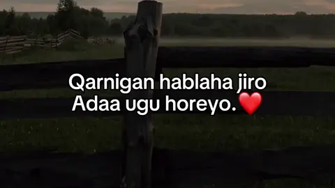 #foryou #fypシ゚ #soomalitiktok #viewsproblem😭 #foryoupage 