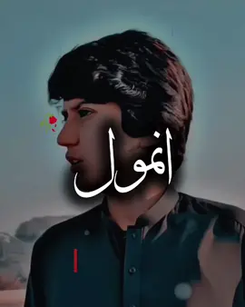 انمول تو نہیں ہیں ہم مگر یہ یاد رکھنا ہمارے بعد شاید کوئی ہم جیسا ملے Reality of our society #alfaz #sunny 💯💯💯#no0ryyy #foryou #viral 