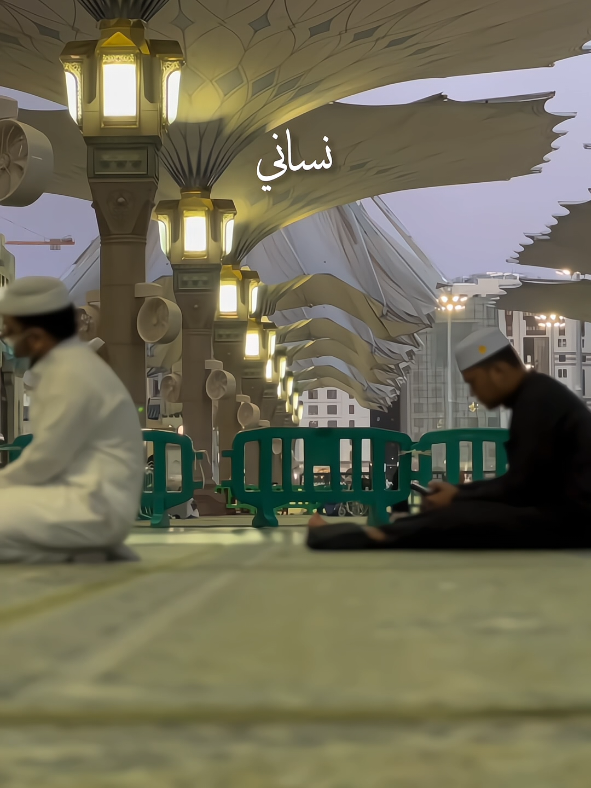 🤍يا طيبة يا تيمة الولهانة  #noor_ul_qalb10 #islamic_video #yataiba #islamicstatus #nasheed 