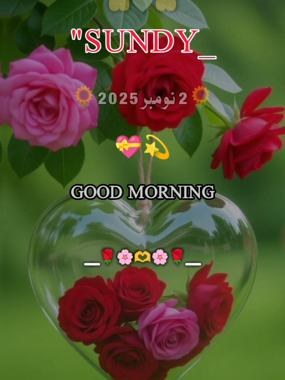 #foryou #foryoupage ❤️❤️#burhan_tv #viewproblem 