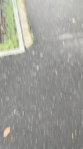 ‏ اللعاب حميدة والشام حميدة##شعب_الصيني_ماله_حل😂😂 #france🇫🇷 #maroc #f #featureme 