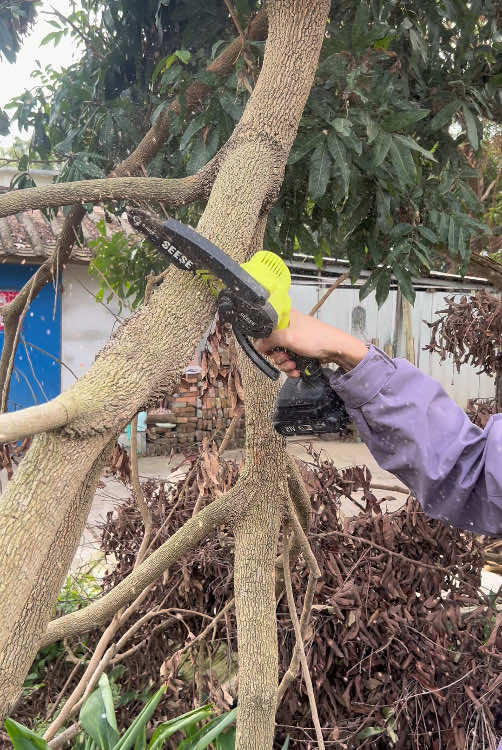 A handheld, wireless, electric chain saw with a large battery capacity ensures safety and makes it easy to complete pruning tasks on fruit trees #electric #podadores #fyp #minichainsaw #handheldchainsaw 