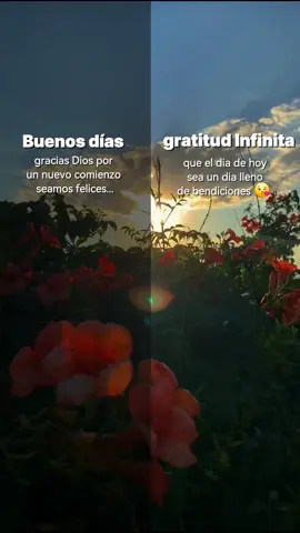 #holanoviembre #CapCut  gracias Dios, solo Gracias 🥰 🙏🏻  seamos felices juntos 