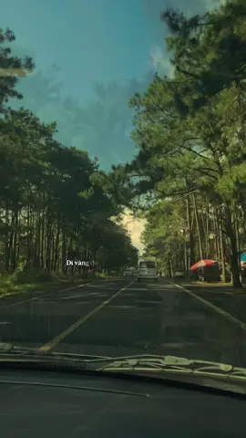 #nhachoaloiviet #nhachaymoingay 