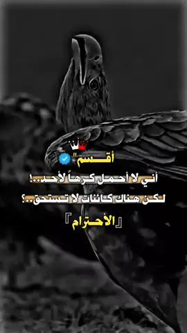 #مجدل بني فاضل🤍 #بئر_السبع #عبارات 