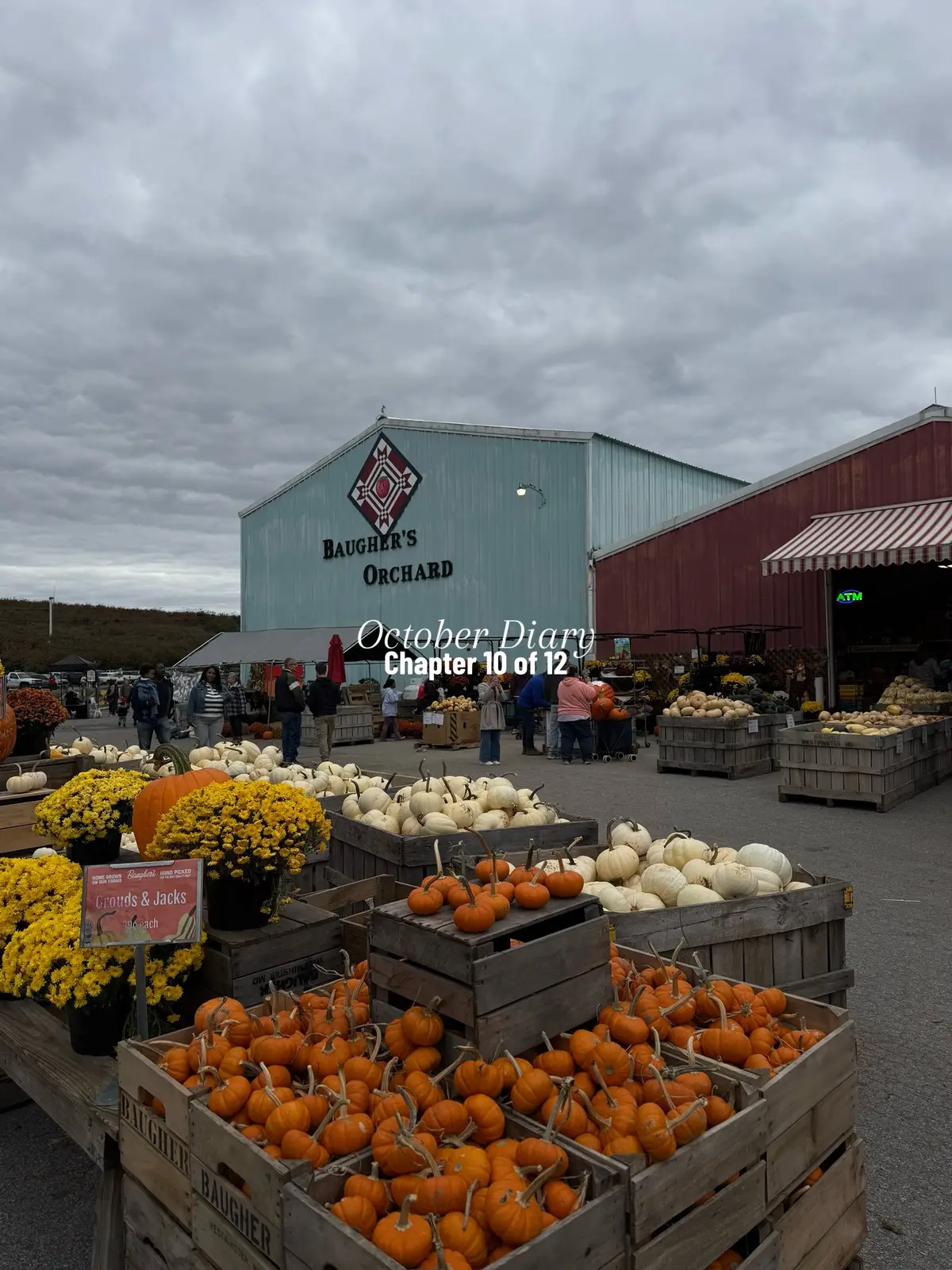 Thank you October for being so soft and kind to me this year. 🫶🏾 The balance between a full-time corporate girl and doctoral student is not always graceful, but I am proud of the woman I am becoming through it all. So here’s to showing up for my goals and for myself, and finding space to laugh, rest, and breathe. 🤎 ••••••• #dayinmylife #fallvibes #october #cameraroll #photodump
