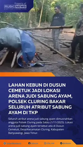 RUBICNEWS.COM - Seluruh atribut arena judi sabung ayam dimusnahkan anggota Polsek Cluring pada Sabtu (1/11/2025). Lokasi arena judi sabung ayam tersebut ada di Dusun Cemetuk, Desa/Kecamatan Cluring, Kabupaten Banyuwangi, Jawa Timur. Dalam kesempatan itu, petugas langsung menggulung arena judi sabung ayam lalu membakarnya. Kapolsek Cluring Iptu Putu Ardana mengatakan pihaknya mendapatkan laporan terkait adanya aktivitas judi sabung ayam dari masyarakat. 