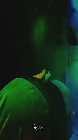 Zainab da Baba Meda Janaza ......😭 Wasiyat Bibi Fatima Zahra sa Ayam e Fatmiyah Status 2025  #creatorsearchinsights  #yafatima #bibifatimazahraص #ayamefatimaس  #fyp 