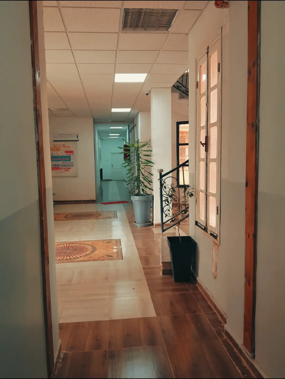 #النعامة_المشرية_البيوض45 #النعامة_المشرية_البيوض45 #الشعب_الصيني_ماله_حل😂😂، #جامعة #الجزائر_تونس_المغرب 