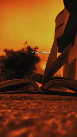 17:17 _ Dareen Dhadhan Lihi Dhamaad malaho 💖🫸🥺 #bestsomalidentist #bestsong #foryoupage #fyp #somaliweek 