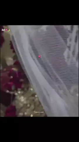 𝑬𝒌 𝑫𝒊𝒏 𝑨𝒑 𝑯𝒖𝒎 𝑲𝒐𝑴𝒊𝒍 𝑱𝒚𝒆𝒂 𝑮𝒂𝒚𝒂🤭🥰❤️✨💫#ᴊᴀɴᴀ🥰 #sʜᴇʜᴢᴀᴅᴀ💝💖 #ᴍʏᴡᴏʀʟᴅ🌏 #ᴍʏʜᴇᴀʀᴛ❤️ #ᴍʏ_ʙɪɢɢᴇsᴛ_ɢɪғᴛ💞 @♥️🎀დ𝐒𝐨𝐮𝐥 𝐎𝐟 𝐇𝐞𝐫დ♥👀 