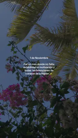 #noviembre #nuevomes #motivacion #metas  #sandrasallo1