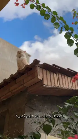 #fyppppppppppppppppppppppp #libya 