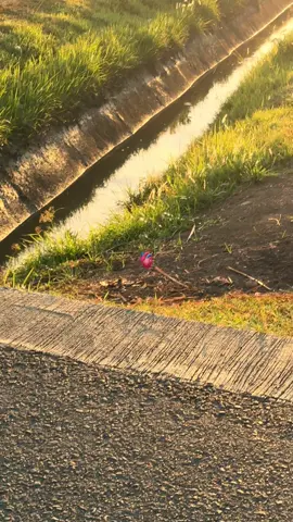 cuma dj old #oldvibes #songvibes #djbabyfamilyfriendly #nostalgia 