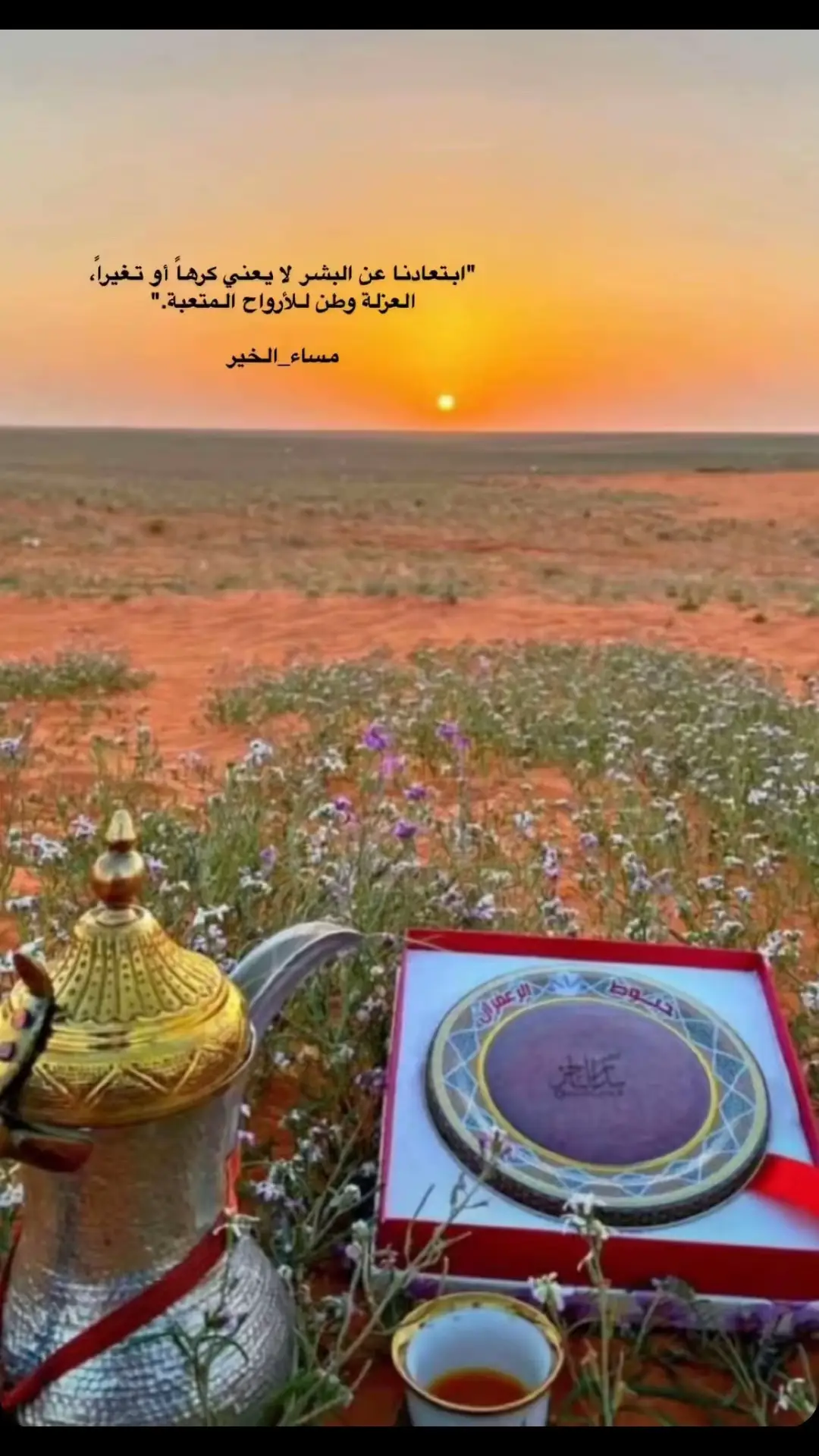 #في هذا اليوم #مساكم_سعادة_لاتنتهي #حائل_الجوف_سكاكا_عرعر #متابعيني_الغالين #حائل_بعد_حيي 