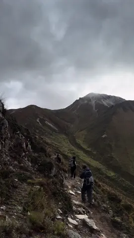 #nature #lowkey77 #relatable 