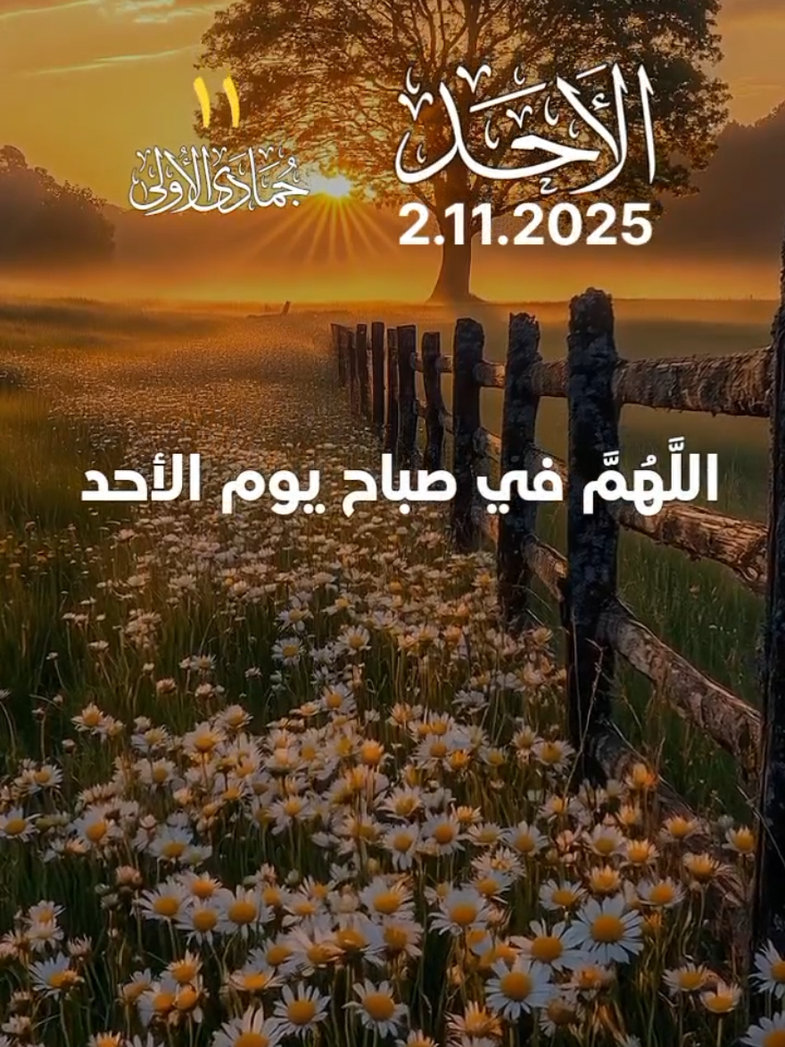 دعاء يوم الاحد 🤲♥️ اللهم في صباح يوم الاحد 🤲♥️ افضل دعاء و حالات و ستوريات يوم الاحد جديد 2025 🤲♥️ #دعاء_يوم_الاحد #ادعية  #حالات_واتس #صباح_الخير  #اللهم_امين_يارب_العالمين 