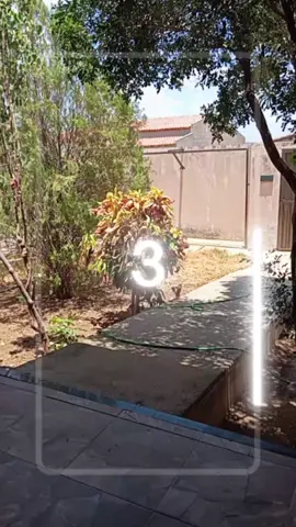 minha casa Chernobyl e minha casa original