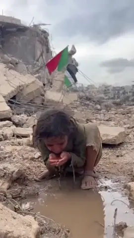 #savegaza #gaza #frepalestin 