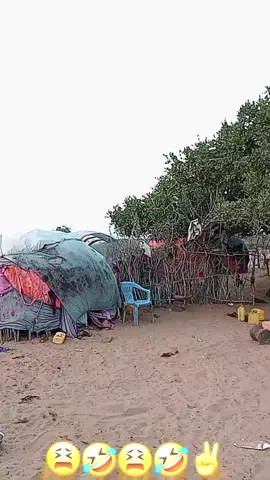 #xaliimo hayeH😫🤣✌️