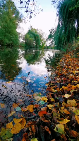 #ياحبيبي_وبحبك_عطريق_غياب❤️بحبك #راقت_لــي♥ #فيروز #fyp 