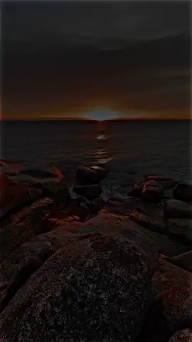 #سطوريات_،واتساب #عبارات_جميلة_وقويه😉🖤 #سكيكدة_الزينة_و_حنا_فيك_تربينا 