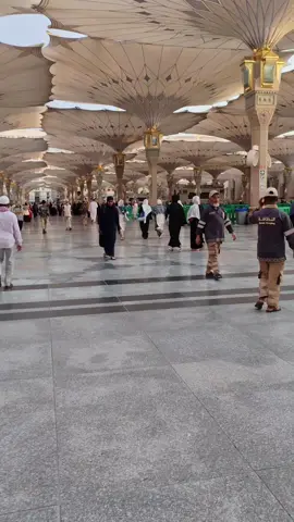 প্রত্যেকটা মুসলমানের স্বপ্ন মক্কা এবং মদিনায় যাওয়ার। আলহামদুলিল্লাহ। আল্লাহ রাব্বুল আলামীন আমাকে এই মদিনায় আসার তৌফিক দান করেছে। আমিন 🤩🥰🕌🇸🇦#islamic_video #masjidalnabawi🇸🇦 #trending #viral #মদিনার_পাগল🕋🕋🕋🤲🤲🤲 #সাপোর্ট_করলে_সাপোর্ট_পাবেন 