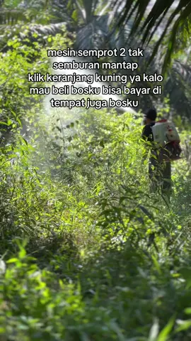 #sipalingupdate #promomakanharian #fyp #promomakanharian #sawitontiktok 