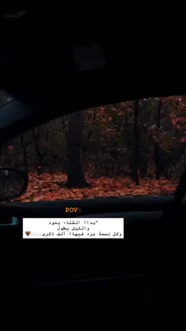 #🤎🍂🍁 #CapCut 