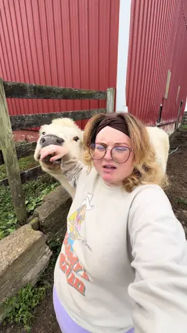 My best friend is a literal cow 