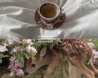 yeah like everyday #pinterestaesthetic #moodboard #seventeen #itsgonnabeok #loveyou 