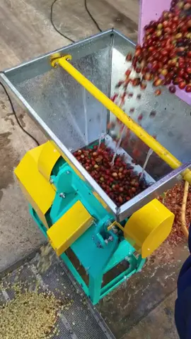 Máy xay cà phê Mo tor 1.5kw 1h = 300kg  #mayxaycaphetuoi  #mayxaycaphe