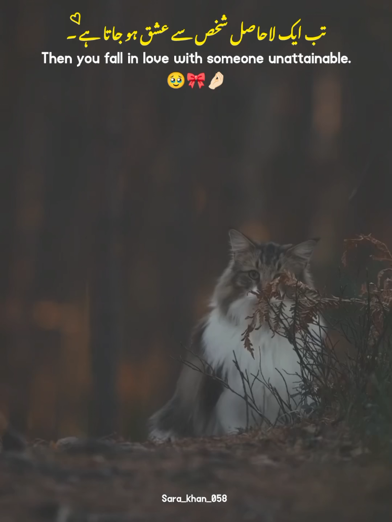 Agree..? 🥹🎀🤌🏻 | | relationship sad status 🥹🙌🏼🙂 | | heart touching lines❤️ | | 150k 🥹 #sad #hearttouching #statusvideo #plzunfrezemyaccount #foryoupage @TikTok @tiktok creators @tiktok pakistan official 