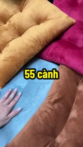 Đệm ngồi bệt 55 cành rất nhiều màu #demngoibet #xuhuong #thuythothe 