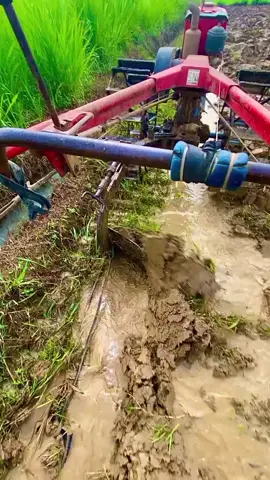 AREP rindu Ki... tapi Karo sopo 🥺#fyp #fypシ゚viral🖤tiktok #kubota #lampungtimur😘🥰 #lampungtiktok 